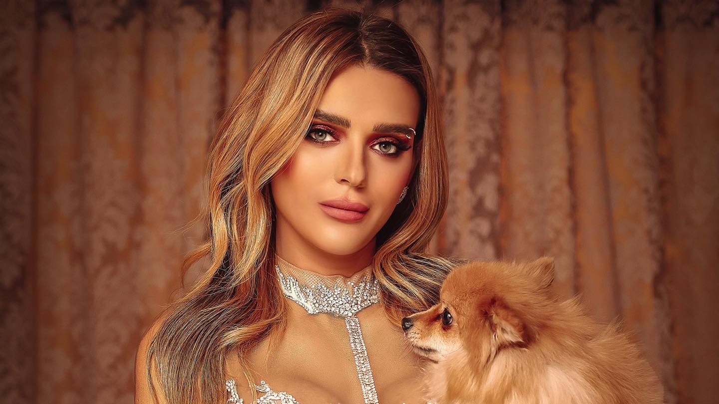 الحالة الصحية للفنانة هبة السيسي